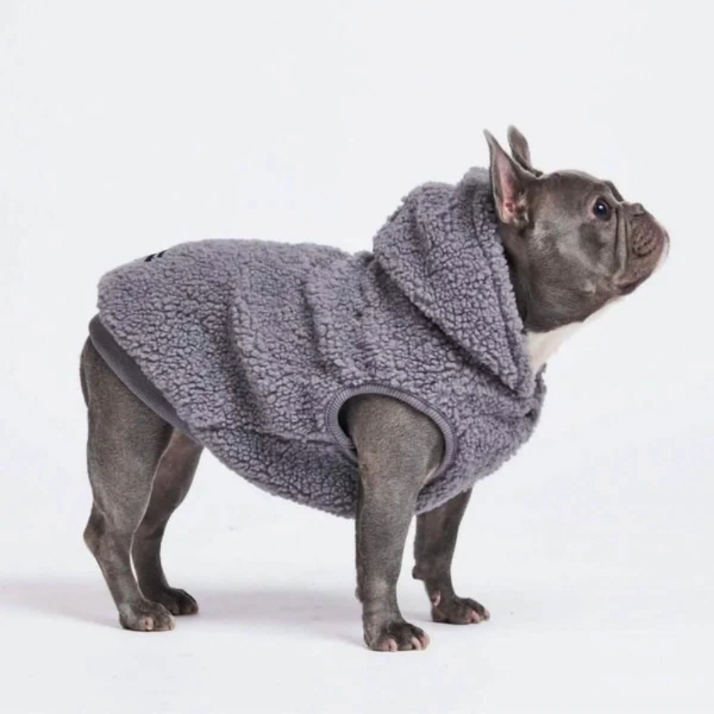 Grey Sherpa Dog Jacket With Hood, "Spark Paws" Brand, Size XL